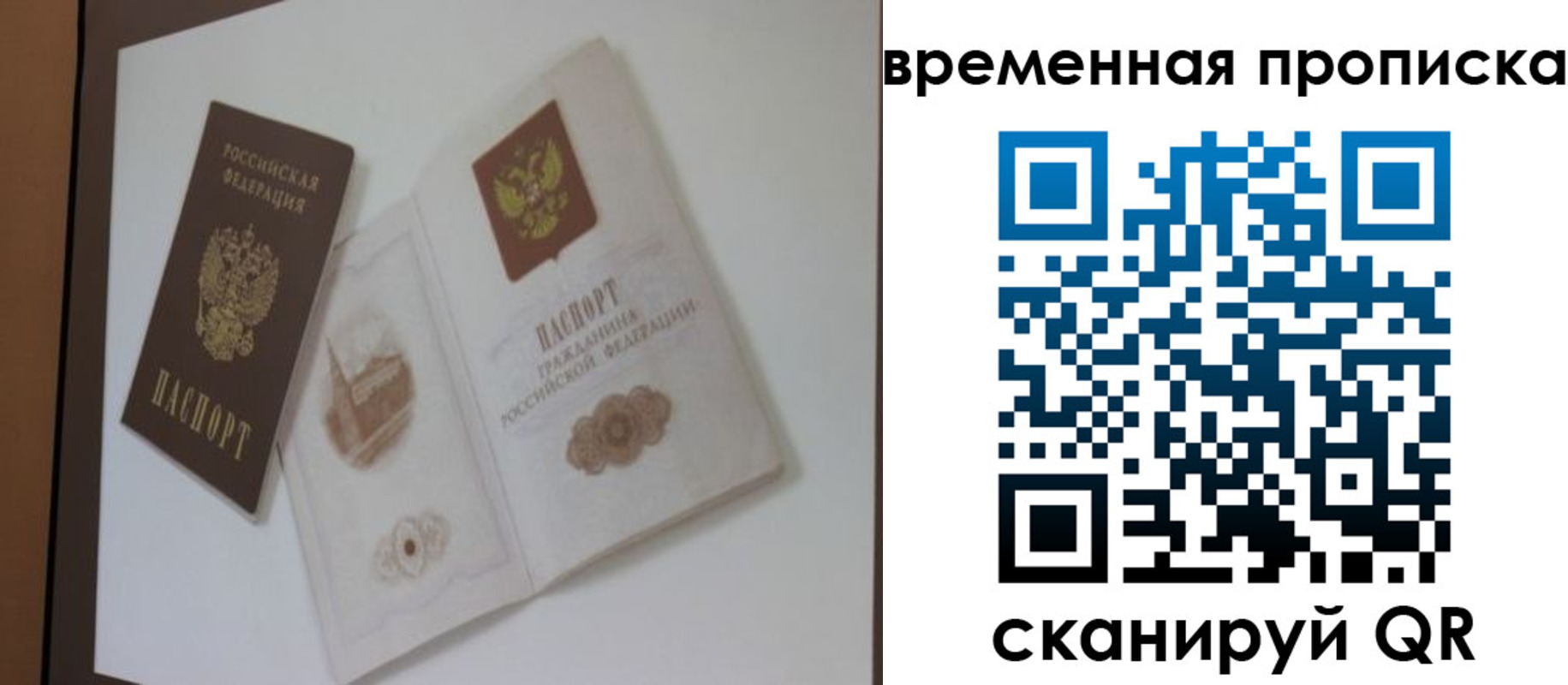 прописка 2025 в Кингисеппе